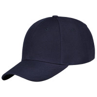 Navy (PMS 533c) / navy